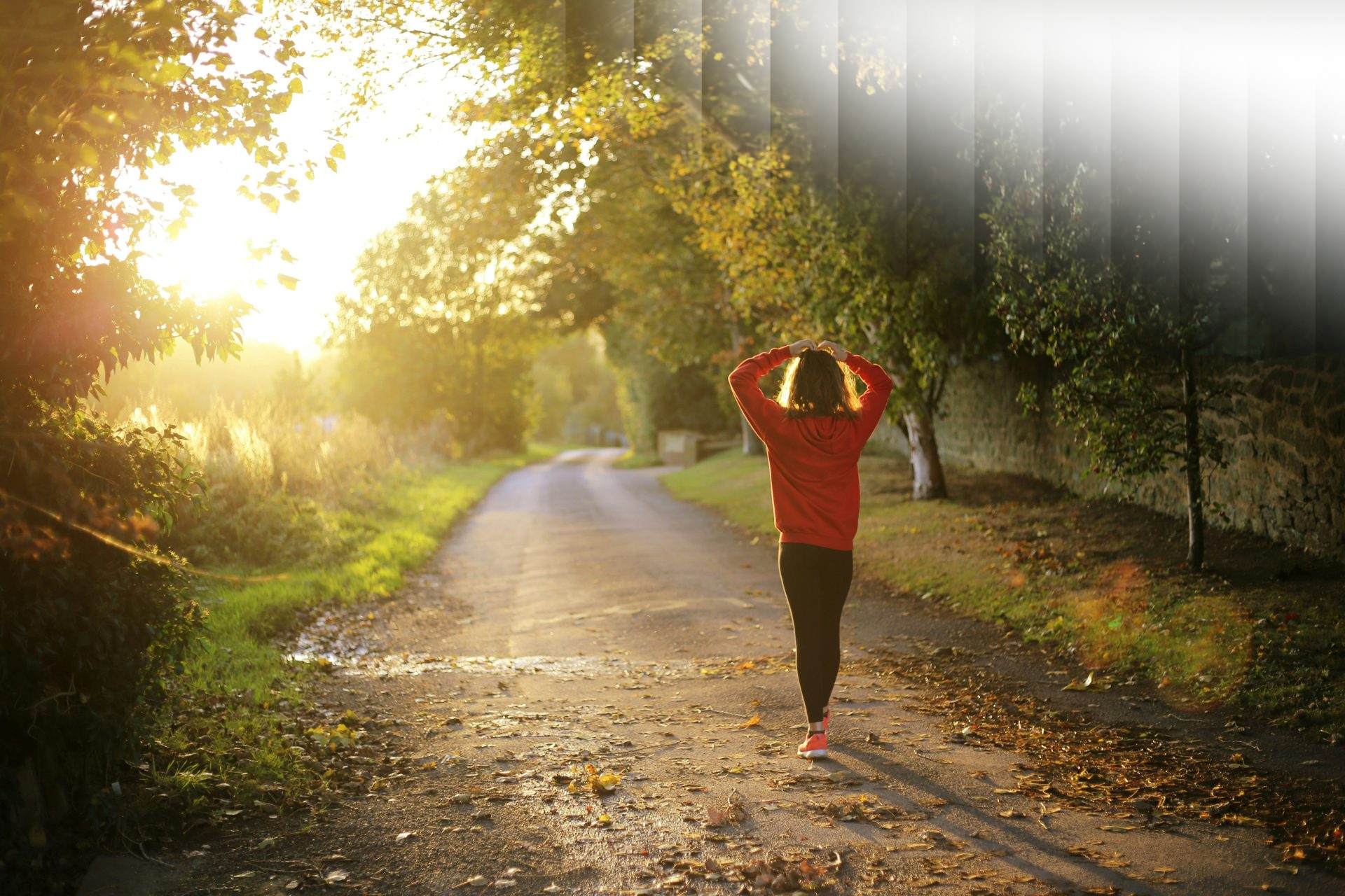 woman walking on pathway during daytime